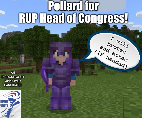Crazy’s gone cRaZy. Vote for the sane and IG approved candidate! | Pollard for RUP Head of Congress! I will protec and attac (if needed); AN INCOGNITOGUY APPROVED CANDIDATE! | image tagged in idk | made w/ Imgflip meme maker