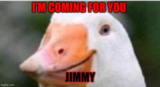 not hating against jimmies | I'M COMING FOR YOU; JIMMY | image tagged in duck,jimmy | made w/ Imgflip meme maker