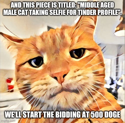 Dating profile | AND THIS PIECE IS TITLED: "MIDDLE AGED MALE CAT TAKING SELFIE FOR TINDER PROFILE". WE'LL START THE BIDDING AT 500 DOGE | image tagged in dating,cat,tinder,selfie,middle age | made w/ Imgflip meme maker