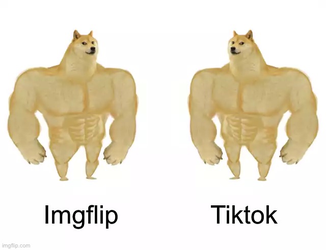 Buff Doge vs Buff Doge | Imgflip; Tiktok | image tagged in buff doge vs buff doge | made w/ Imgflip meme maker