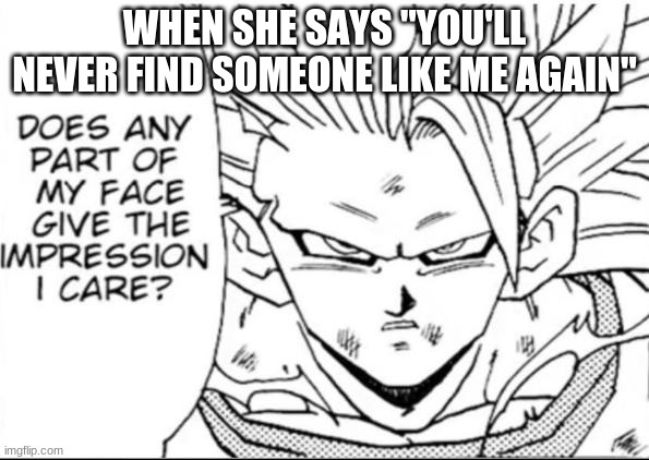 A meme i made | WHEN SHE SAYS "YOU'LL NEVER FIND SOMEONE LIKE ME AGAIN" | image tagged in meme,goku,dragon ball z | made w/ Imgflip meme maker