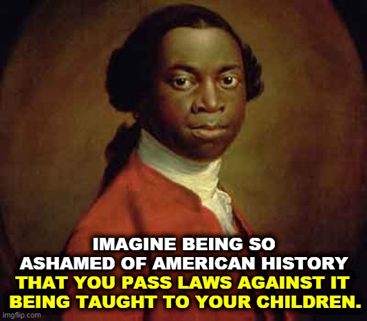 IMAGINE BEING SO ASHAMED OF AMERICAN HISTORY; THAT YOU PASS LAWS AGAINST IT 
BEING TAUGHT TO YOUR CHILDREN. | image tagged in american,history,race | made w/ Imgflip meme maker