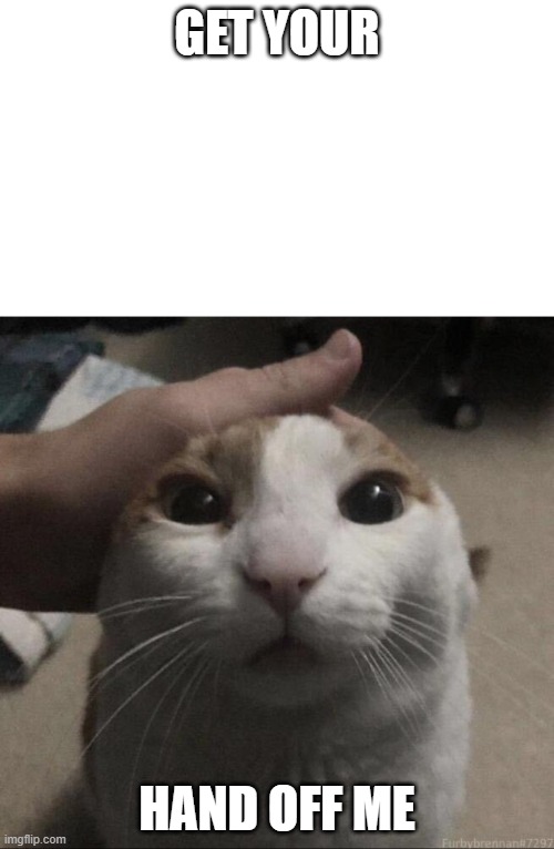 me petting my cat | GET YOUR; HAND OFF ME | image tagged in me petting my cat | made w/ Imgflip meme maker