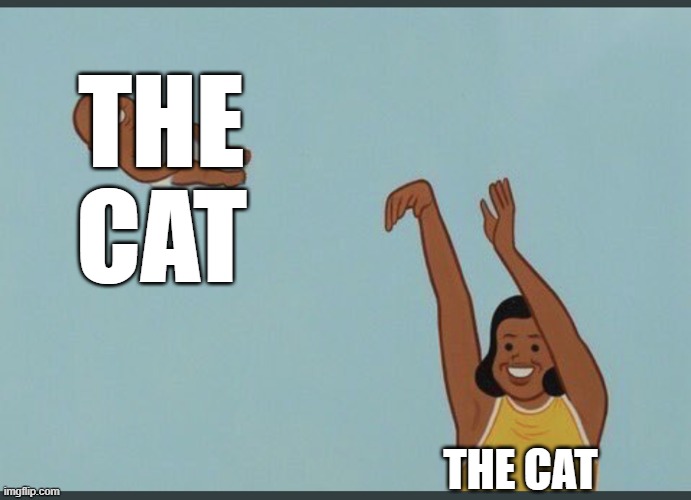 THE CAT THE CAT | image tagged in baby yeet | made w/ Imgflip meme maker