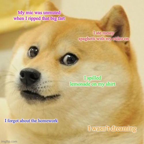 When all this happens on a zoom call | My mic was unmuted when I ripped that big fart; I ate messy spaghetti with my video on; I spilled lemonade on my shirt; I forgot about the homework; I wasn’t dreaming | image tagged in memes,doge | made w/ Imgflip meme maker