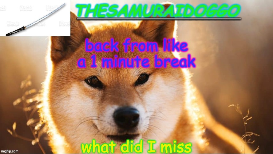 TheSamuraiDoggo's Temp (Thanks friend!) | back from like a 1 minute break; what did I miss | image tagged in thesamuraidoggo's temp thanks friend | made w/ Imgflip meme maker