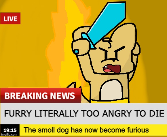 why did i make this | FURRY LITERALLY TOO ANGRY TO DIE; The smoll dog has now become furious | made w/ Imgflip meme maker