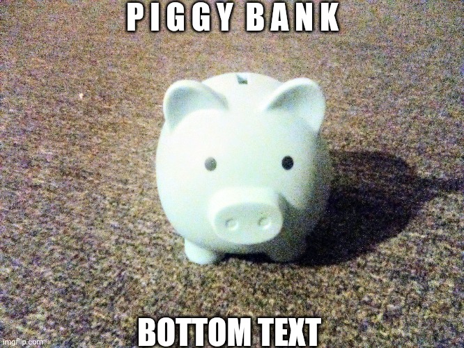 :P | P I G G Y  B A N K; BOTTOM TEXT | made w/ Imgflip meme maker