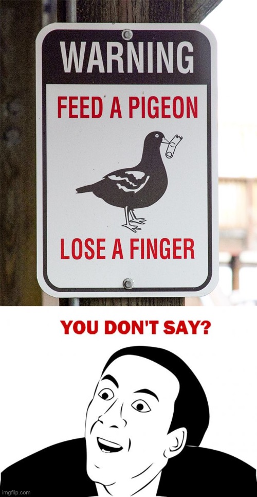 image tagged in memes,you don't say,funny,funny signs,pigeon | made w/ Imgflip meme maker