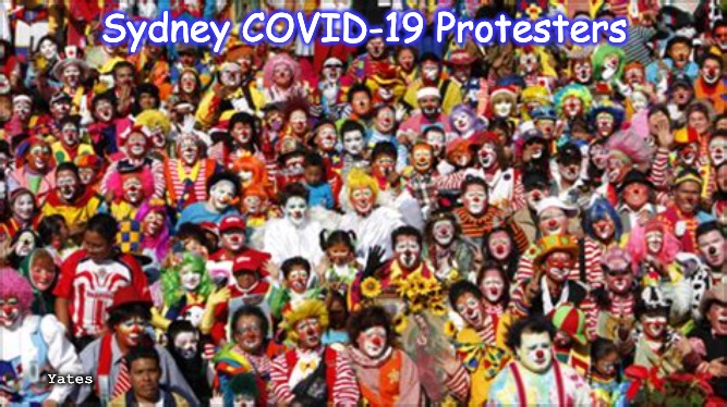 Clown Protesters |  Sydney COVID-19 Protesters; Yates | image tagged in protest clowns,clowns,protesters | made w/ Imgflip meme maker