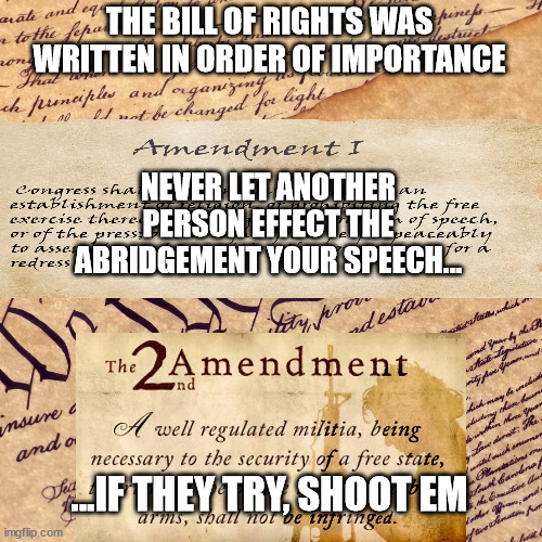 Sedition edition | THE BILL OF RIGHTS WAS WRITTEN IN ORDER OF IMPORTANCE; NEVER LET ANOTHER PERSON EFFECT THE ABRIDGEMENT YOUR SPEECH... ...IF THEY TRY, SHOOT EM | made w/ Imgflip meme maker