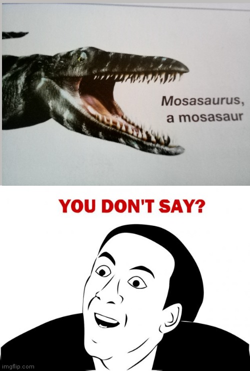 Mososaurus, a mosasaur | image tagged in memes,you don't say | made w/ Imgflip meme maker