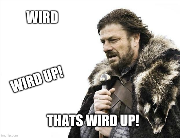 meme man teach barbarianz write left | WIRD; WIRD UP! THATS WIRD UP! | image tagged in memes,brace yourselves x is coming | made w/ Imgflip meme maker