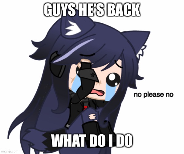 no please no | GUYS HE’S BACK; WHAT DO I DO | image tagged in no please no | made w/ Imgflip meme maker