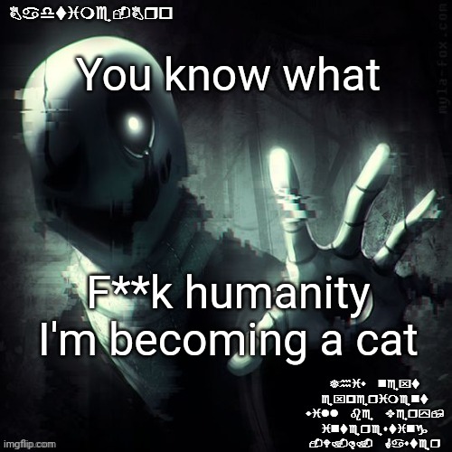 Meow ig | You know what; F**k humanity I'm becoming a cat | image tagged in ajhdjkwebjskghdfwegshnajkewhgaster | made w/ Imgflip meme maker