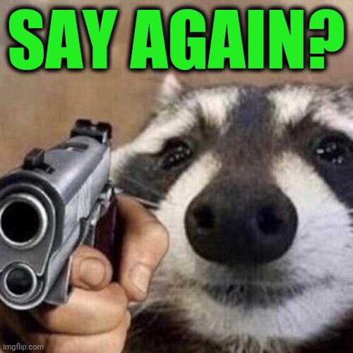 Say Again? | SAY AGAIN? | image tagged in say that again i dare you,racoon | made w/ Imgflip meme maker
