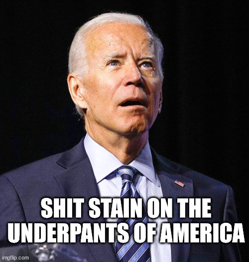 President Shit Stain | SHIT STAIN ON THE UNDERPANTS OF AMERICA | image tagged in joe biden,president shit stain | made w/ Imgflip meme maker