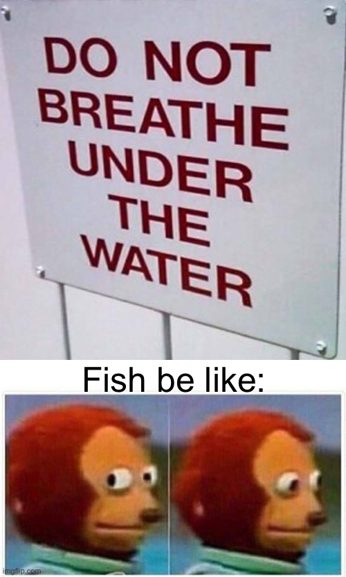 Would you consider that breathing ? ??? | Fish be like: | image tagged in memes,monkey puppet | made w/ Imgflip meme maker