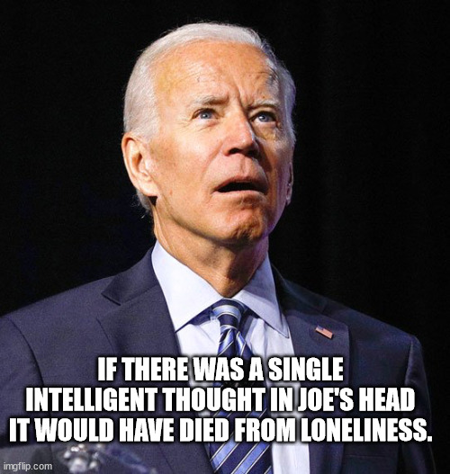 loneliness | IF THERE WAS A SINGLE INTELLIGENT THOUGHT IN JOE'S HEAD IT WOULD HAVE DIED FROM LONELINESS. | image tagged in biden | made w/ Imgflip meme maker