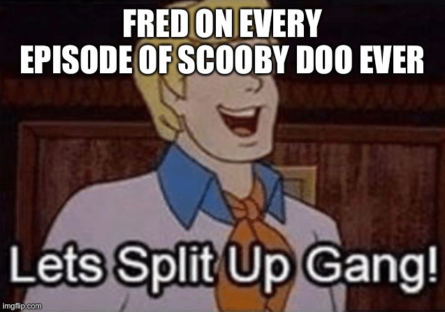 Z | FRED ON EVERY EPISODE OF SCOOBY DOO EVER | image tagged in let s split up hang | made w/ Imgflip meme maker