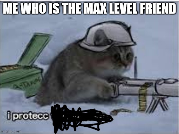 I protect the hooman | ME WHO IS THE MAX LEVEL FRIEND | image tagged in i protect the hooman | made w/ Imgflip meme maker