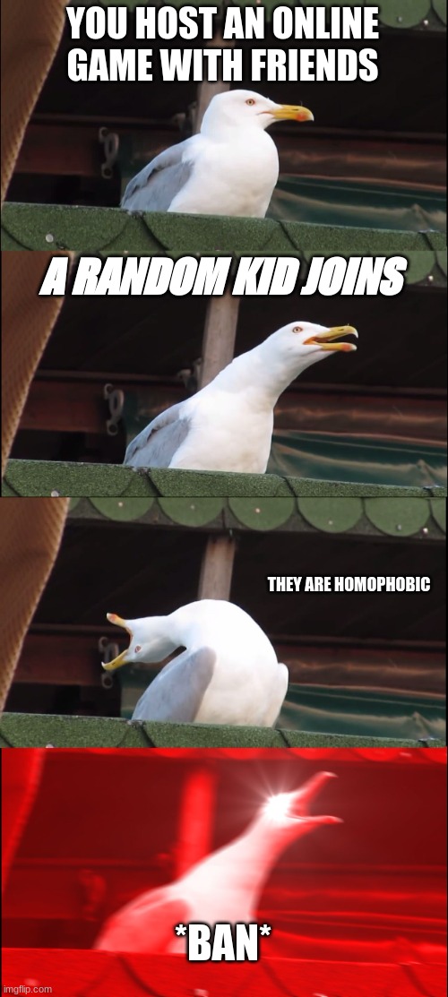 Inhaling Seagull | YOU HOST AN ONLINE GAME WITH FRIENDS; A RANDOM KID JOINS; THEY ARE HOMOPHOBIC; *BAN* | image tagged in memes,inhaling seagull | made w/ Imgflip meme maker