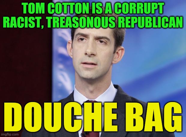 Tom Cotton Guilty | TOM COTTON IS A CORRUPT RACIST, TREASONOUS REPUBLICAN; DOUCHE BAG | image tagged in tom cotton guilty | made w/ Imgflip meme maker