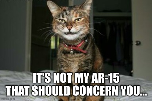 Evil Smile Cat | IT'S NOT MY AR-15 THAT SHOULD CONCERN YOU... | image tagged in evil smile cat | made w/ Imgflip meme maker