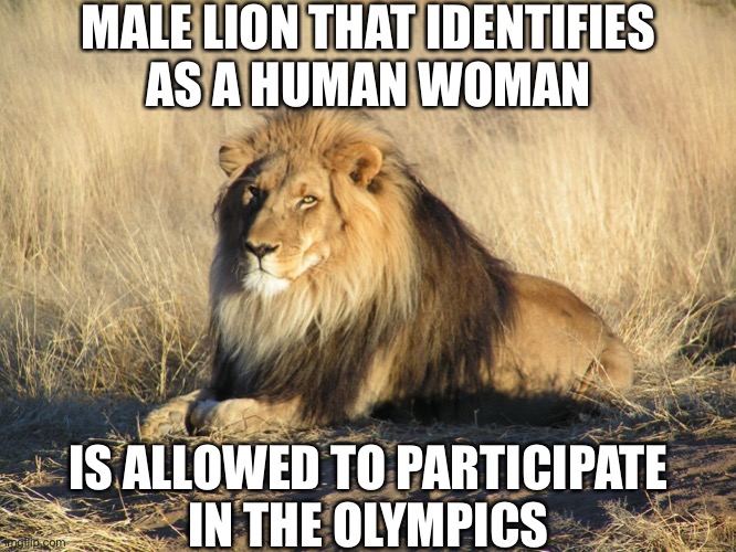 Male lion in the Olympics. | MALE LION THAT IDENTIFIES
AS A HUMAN WOMAN; IS ALLOWED TO PARTICIPATE
IN THE OLYMPICS | image tagged in transgender,tired of hearing about transgenders,human stupidity,women's rights,difference between men and women,women | made w/ Imgflip meme maker
