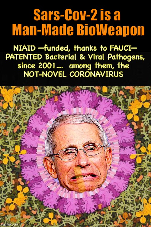 Pants-on-Fire-FAUCI already Made HIS money on His PATENTS - Maybe he’ll buy a Yacht & Cruise the Caribbean | Sars-Cov-2 is a 
Man-Made BioWeapon; NIAID —funded, thanks to FAUCI—
 PATENTED Bacterial & Viral Pathogens, 
since 2001....  among them, the 
NOT-NOVEL CORONAVIRUS | image tagged in con vid,plandemic,power money control,dems get the power,they all get the money,we get controlled | made w/ Imgflip meme maker