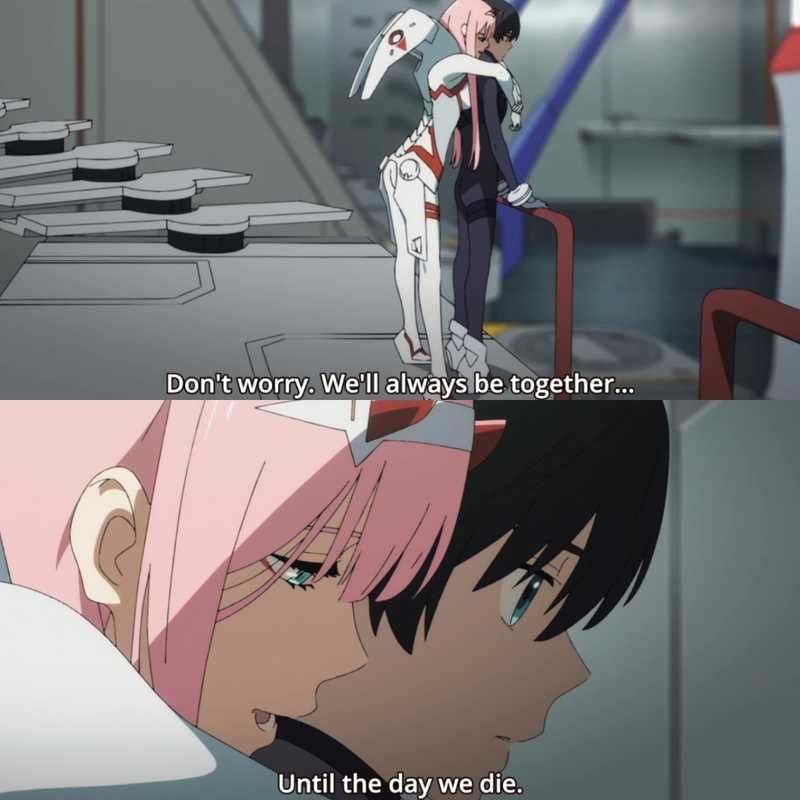 High Quality darling_in_the_franxx_dont_worry Blank Meme Template