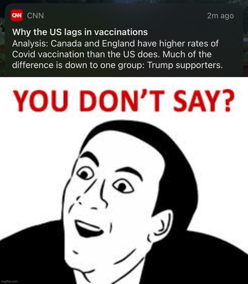 CNN is fake news. This headline said “much of the difference.” Accurate would have been “all of the difference.” | image tagged in why the u s lags in vaccination rates,you don t say,cnn,cnn fake news,mainstream media,trump supporters | made w/ Imgflip meme maker