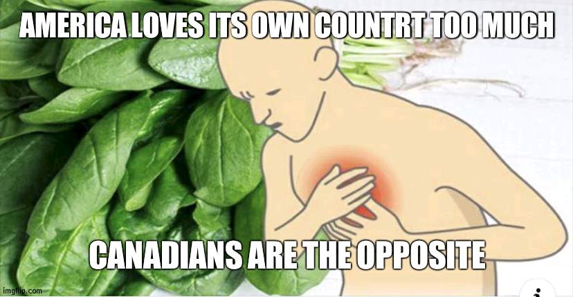 people want to ban Canada Day | AMERICA LOVES ITS OWN COUNTRT TOO MUCH; CANADIANS ARE THE OPPOSITE | image tagged in my heart | made w/ Imgflip meme maker