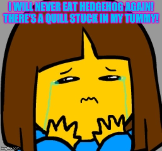 Super Sad Frisk | I WILL NEVER EAT HEDGEHOG AGAIN! THERE'S A QUILL STUCK IN MY TUMMY! | image tagged in super sad frisk | made w/ Imgflip meme maker