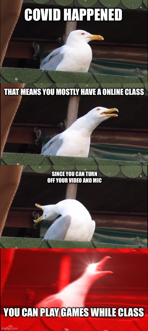 Me: | COVID HAPPENED; THAT MEANS YOU MOSTLY HAVE A ONLINE CLASS; SINCE YOU CAN TURN OFF YOUR VIDEO AND MIC; YOU CAN PLAY GAMES WHILE CLASS | image tagged in memes,inhaling seagull | made w/ Imgflip meme maker