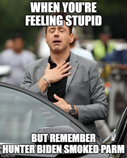 Relief | WHEN YOU'RE FEELING STUPID; BUT REMEMBER HUNTER BIDEN SMOKED PARM | image tagged in relief | made w/ Imgflip meme maker