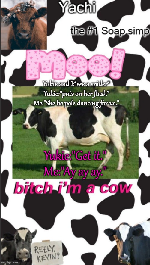 Yachis cow temp | Yukie and I:*see a spider*
Yukie:*puts on her flash*
Me:"She be pole dancing for us."; Yukie:"Get it."
Me:"Ay ay ay." | image tagged in yachis cow temp | made w/ Imgflip meme maker
