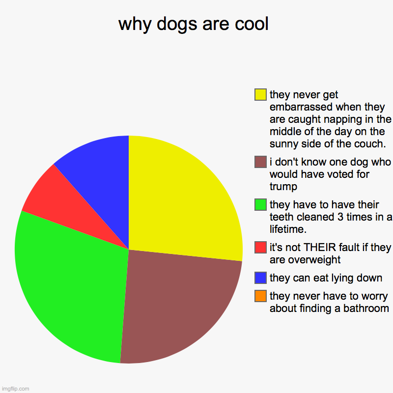 why dogs are cool | they never have to worry about finding a bathroom, they can eat lying down, it's not THEIR fault if they are overweight, | image tagged in charts,pie charts | made w/ Imgflip chart maker
