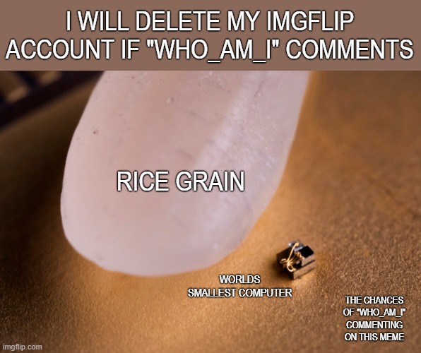 who_am_i dont comment please | I WILL DELETE MY IMGFLIP ACCOUNT IF "WHO_AM_I" COMMENTS; RICE GRAIN; WORLDS SMALLEST COMPUTER; THE CHANCES OF "WHO_AM_I" COMMENTING ON THIS MEME | image tagged in grain of rice,who_am_i,computer,funny memes,memes,bad luck brian | made w/ Imgflip meme maker