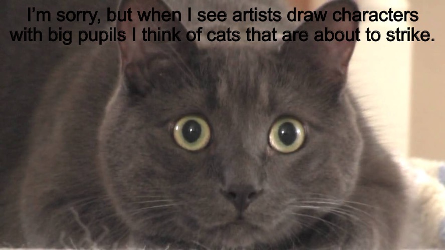 I’m sorry, but when I see artists draw characters with big pupils I think of cats that are about to strike. | made w/ Imgflip meme maker