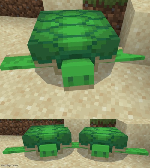 Illusion 100 | image tagged in minecraft,turtles,illusion 100 | made w/ Imgflip meme maker