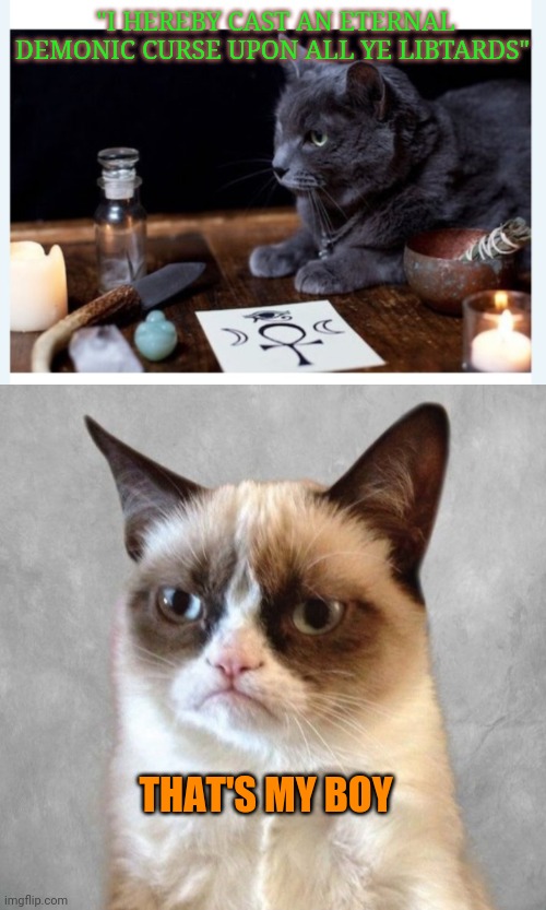 "I HEREBY CAST AN ETERNAL DEMONIC CURSE UPON ALL YE LIBTARDS"; THAT'S MY BOY | image tagged in grumpy cat news | made w/ Imgflip meme maker