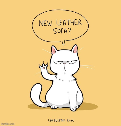 A Cat's Way Of Thinking | image tagged in memes,comics,cats,new,sofa,scratch | made w/ Imgflip meme maker