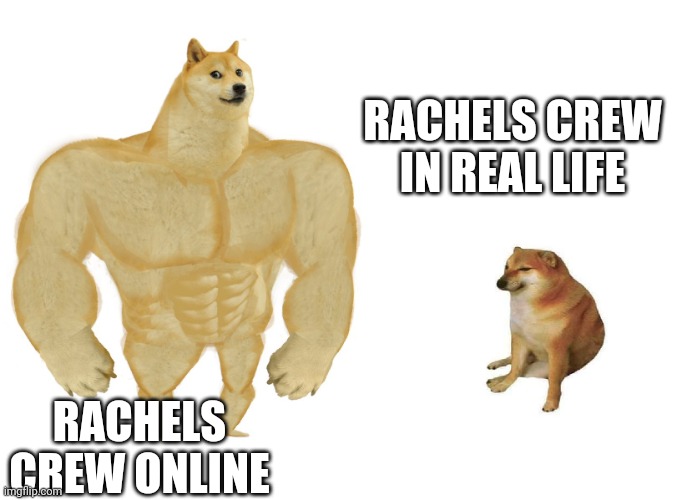 In real life... | RACHELS CREW IN REAL LIFE; RACHELS CREW ONLINE | image tagged in big dog small dog | made w/ Imgflip meme maker