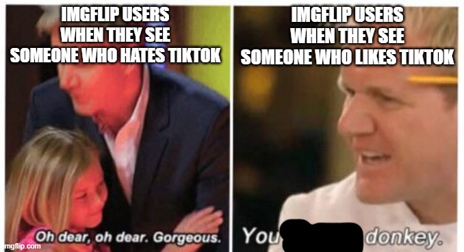 Oh dear, dear gorgeus | IMGFLIP USERS WHEN THEY SEE SOMEONE WHO HATES TIKTOK; IMGFLIP USERS WHEN THEY SEE SOMEONE WHO LIKES TIKTOK | image tagged in oh dear dear gorgeus | made w/ Imgflip meme maker