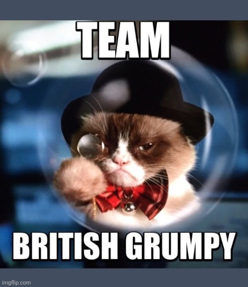 By Jove! | image tagged in grumpy cat does not believe | made w/ Imgflip meme maker