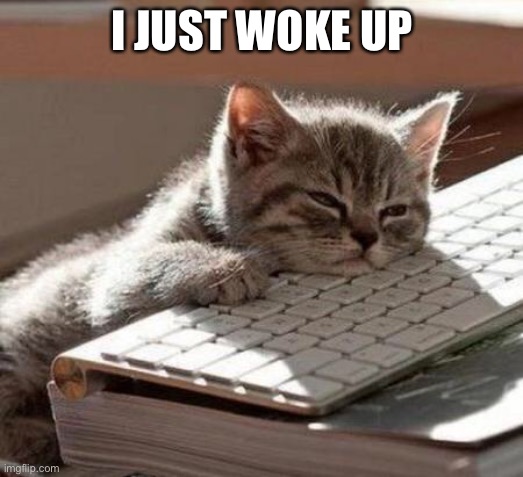 i can’t sleep and my stomach hurts | I JUST WOKE UP | image tagged in tired cat | made w/ Imgflip meme maker
