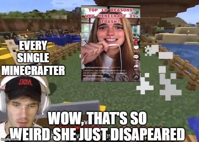 where did she go??? hmmmmmm | EVERY SINGLE MINECRAFTER; WOW, THAT'S SO WEIRD SHE JUST DISAPEARED | image tagged in they just disappeared | made w/ Imgflip meme maker