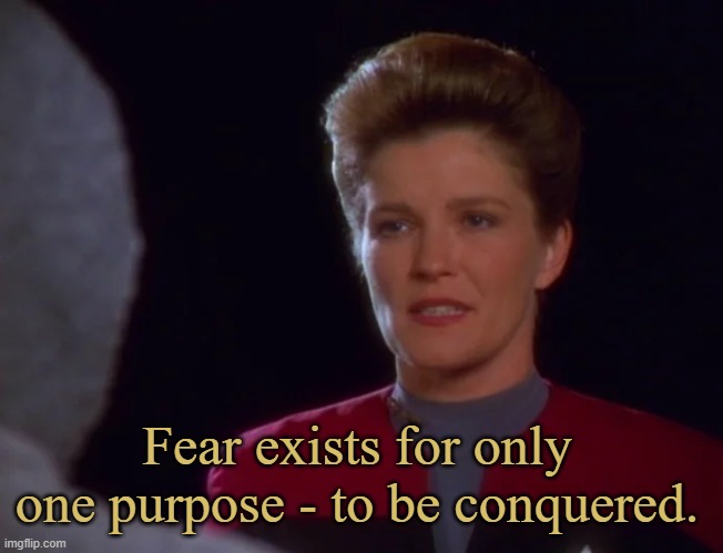Captain Janeway About Fear | Fear exists for only one purpose - to be conquered. | image tagged in janeway,memes | made w/ Imgflip meme maker