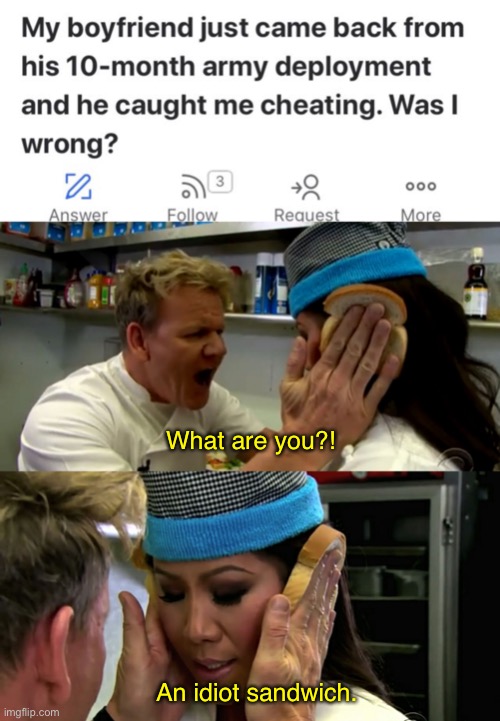 What audacity you must have | What are you?! An idiot sandwich. | image tagged in gordon ramsay idiot sandwich,funny,memes,audacity,chef gordon ramsay,cheating | made w/ Imgflip meme maker
